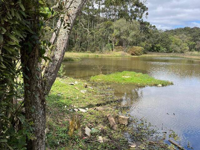 #R02_24 - Chácara para Venda em Colombo - PR - 1